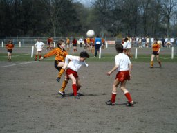 0DIA 1986 RAVA C1